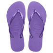 BBB 7000030 lilas.png